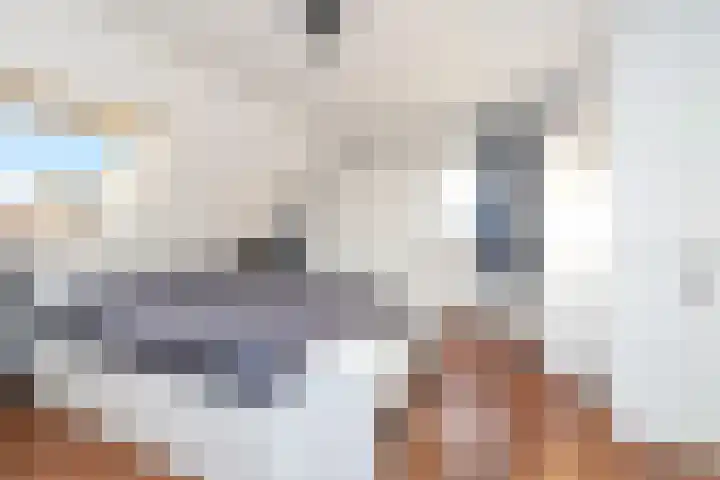 Bonkte Lieuw 14 Hippolytushoef thumbnail 21
