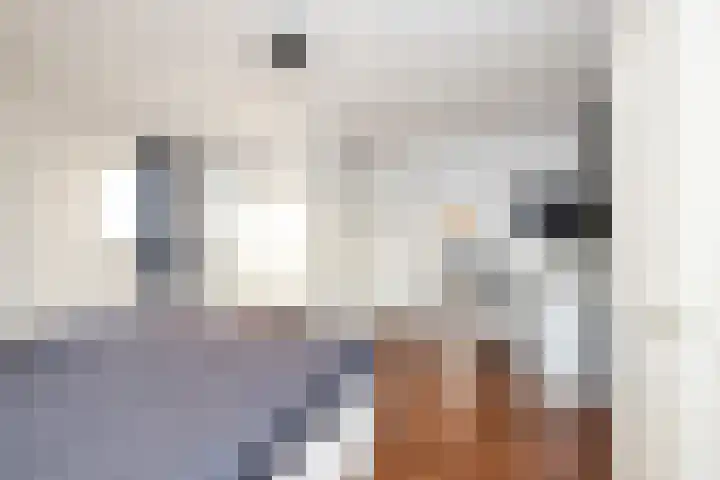 Bonkte Lieuw 14 Hippolytushoef thumbnail 22