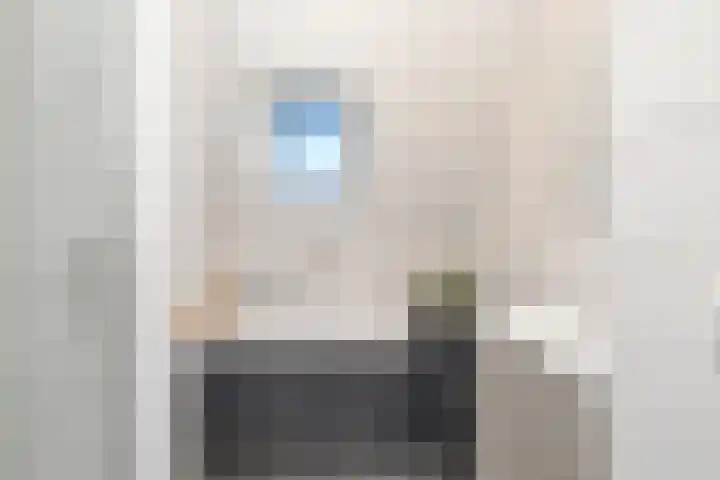 Bonkte Lieuw 14 Hippolytushoef thumbnail 23