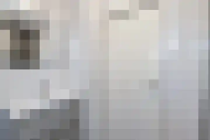 Bonkte Lieuw 14 Hippolytushoef thumbnail 24