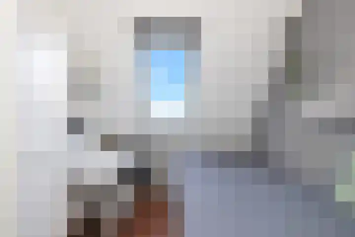 Bonkte Lieuw 14 Hippolytushoef thumbnail 25