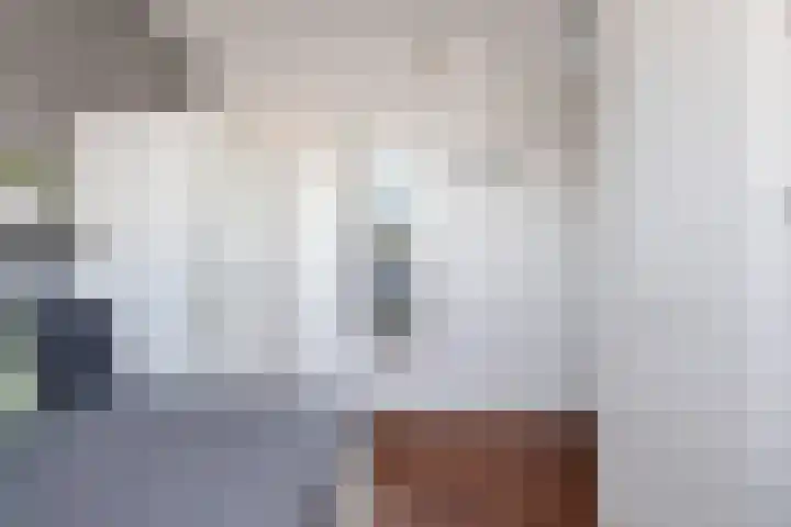 Bonkte Lieuw 14 Hippolytushoef thumbnail 26