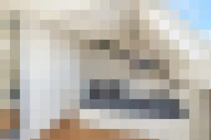 Bonkte Lieuw 14 Hippolytushoef thumbnail 28