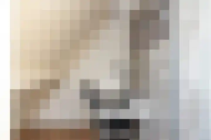 Bonkte Lieuw 14 Hippolytushoef thumbnail 29