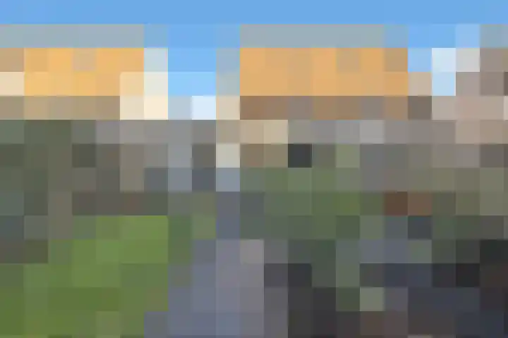 Bonkte Lieuw 14 Hippolytushoef thumbnail 30