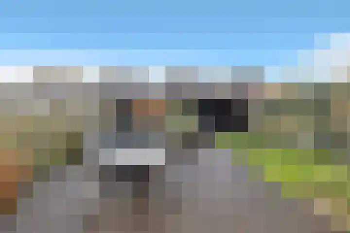 Bonkte Lieuw 14 Hippolytushoef thumbnail 31
