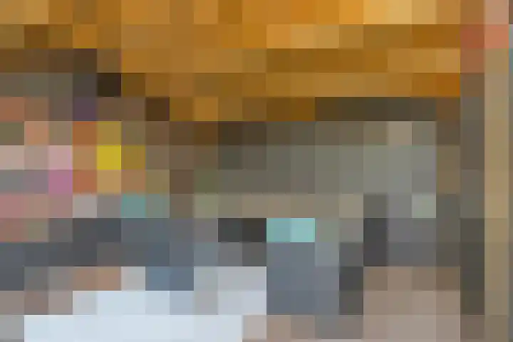 Bonkte Lieuw 14 Hippolytushoef thumbnail 33