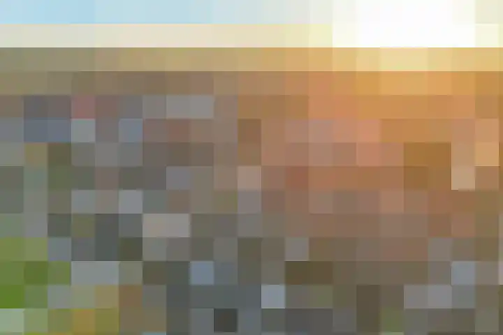 Bonkte Lieuw 14 Hippolytushoef thumbnail 34