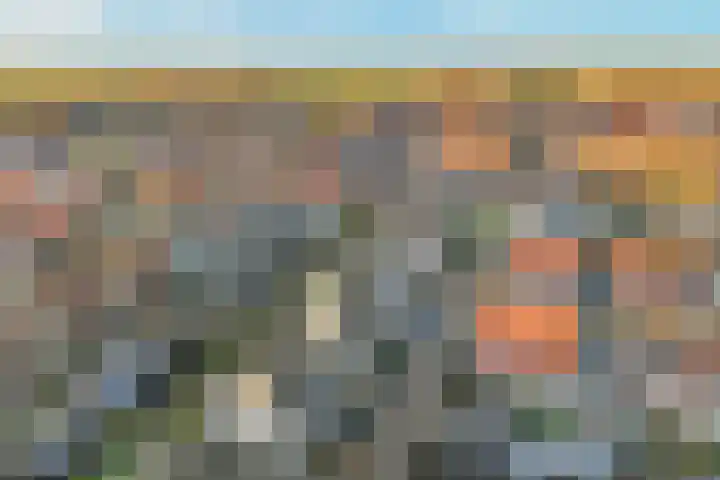 Bonkte Lieuw 14 Hippolytushoef thumbnail 35