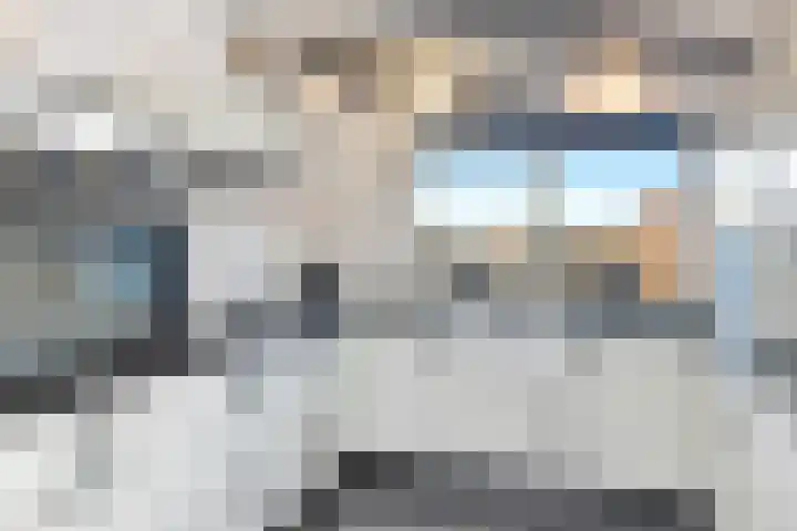 Bonkte Lieuw 14 Hippolytushoef thumbnail 4