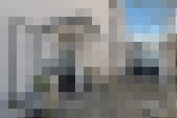 Bonkte Lieuw 14 Hippolytushoef thumbnail 7