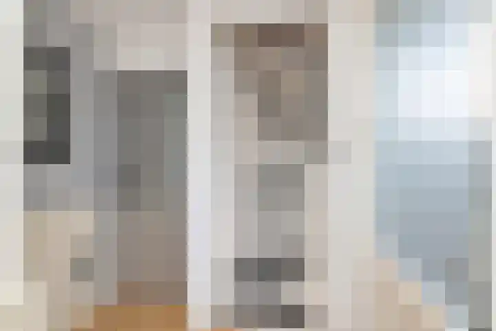 Bonkte Lieuw 14 Hippolytushoef thumbnail 8