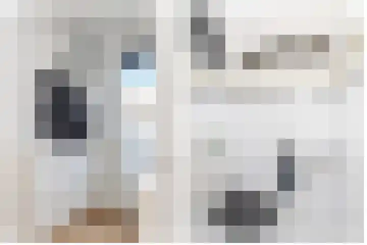 Bonkte Lieuw 14 Hippolytushoef thumbnail 9