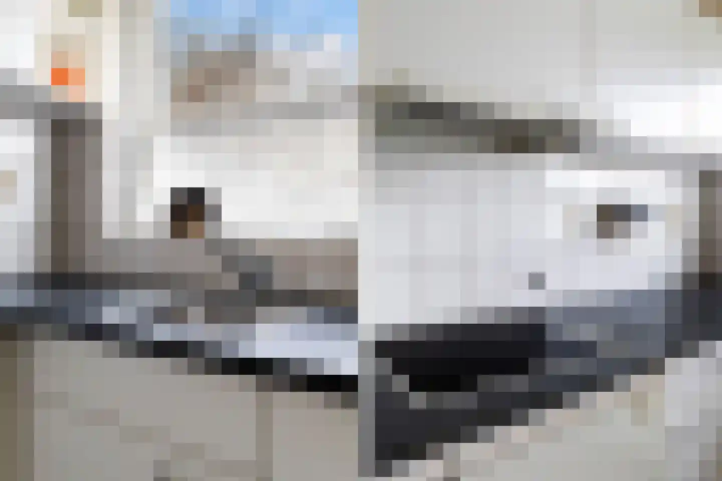 Bonn en Meeswerf 183 Rotterdam thumbnail 16