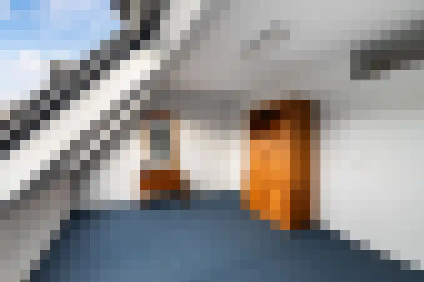 Bonn en Meeswerf 183 Rotterdam thumbnail 22