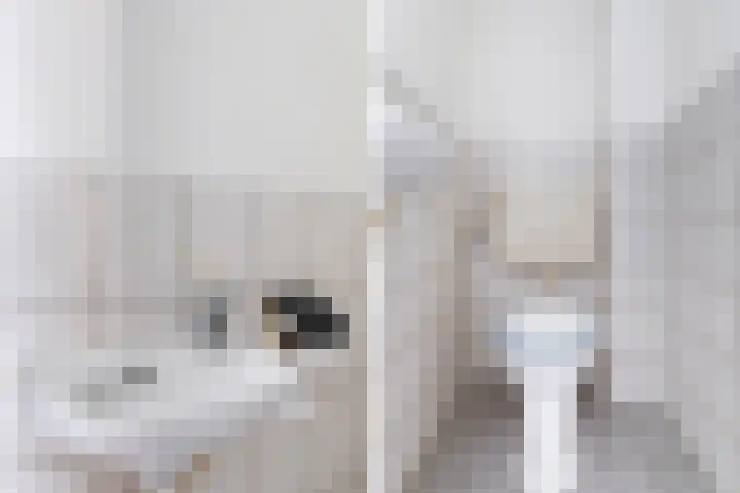 Bonn en Meeswerf 183 Rotterdam thumbnail 39
