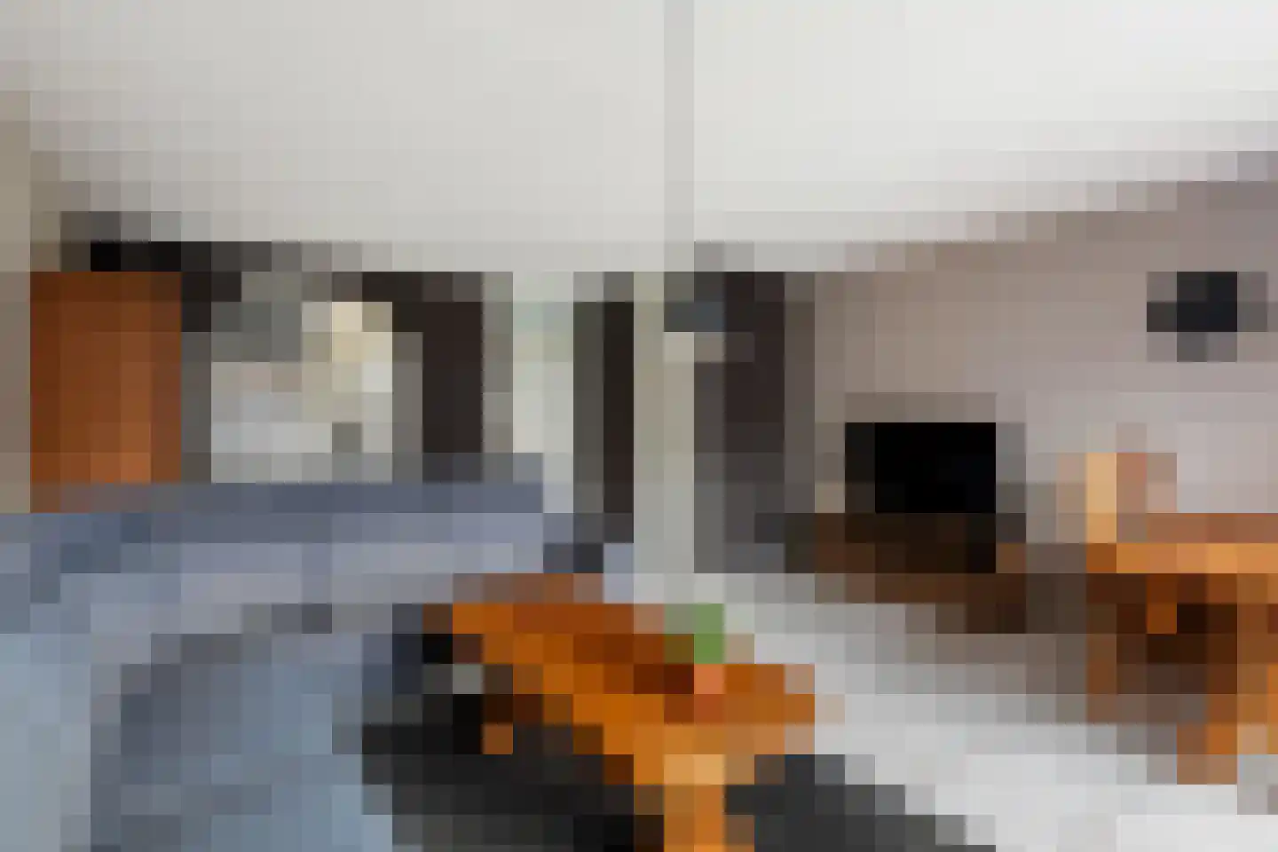 Bonn en Meeswerf 183 Rotterdam thumbnail 9