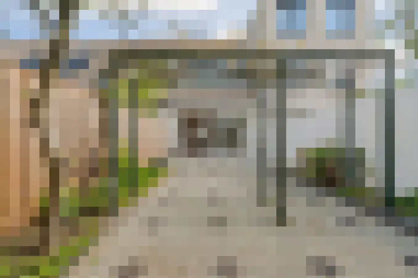 Bonn en Meeswerf 237 Rotterdam thumbnail 33