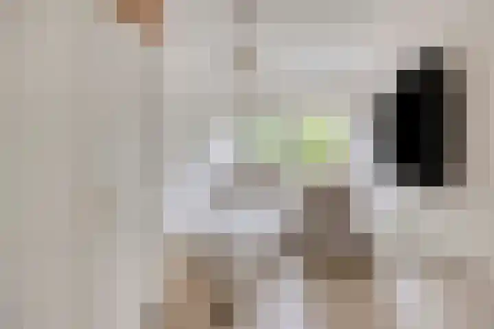 Bonn en Meeswerf 269 Rotterdam thumbnail 22