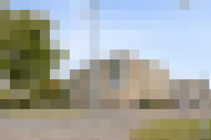 Bonn en Meeswerf 269 Rotterdam thumbnail 28