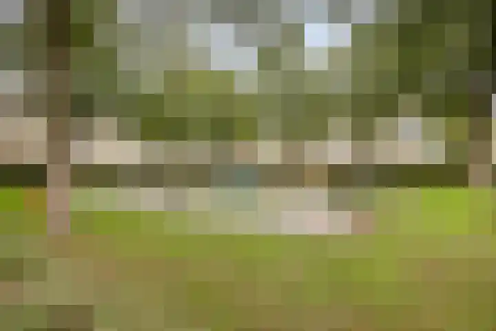 Bonn en Meeswerf 269 Rotterdam thumbnail 29