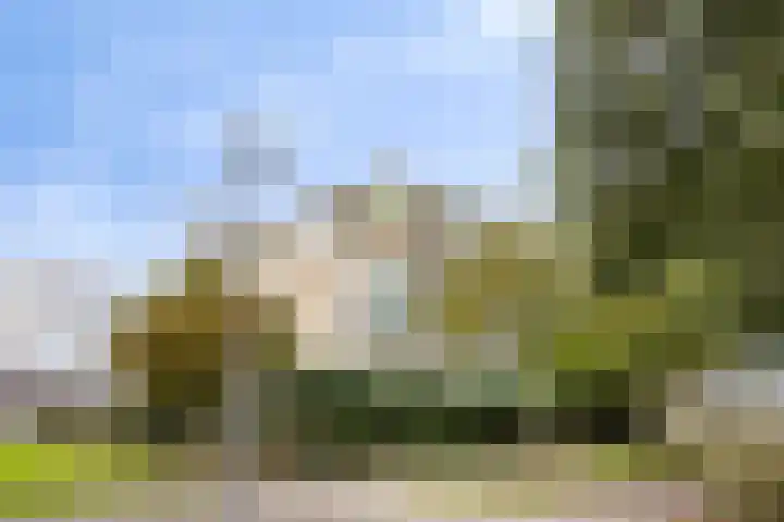 Bonn en Meeswerf 269 Rotterdam thumbnail 4