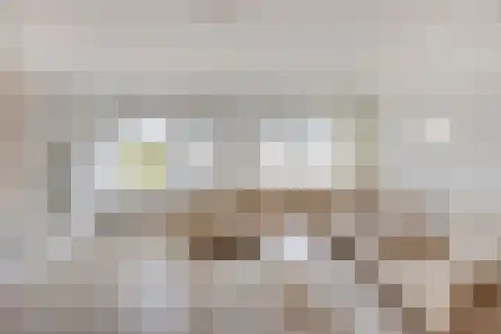 Bonn en Meeswerf 269 Rotterdam thumbnail 6