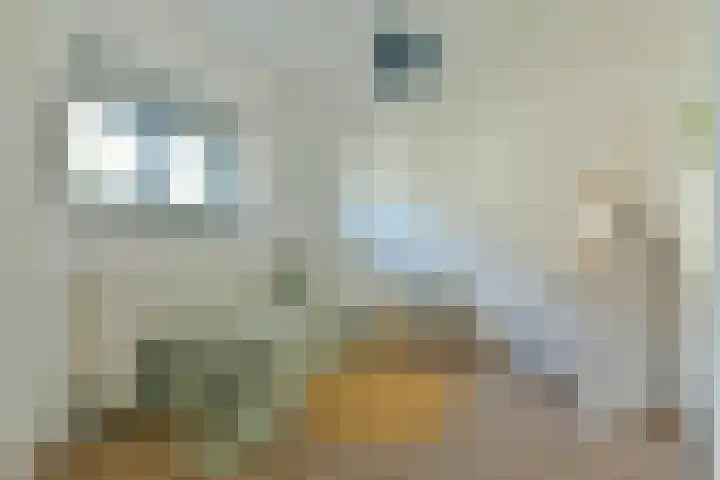 Bonnefantenstraat 21 Amsterdam thumbnail 12