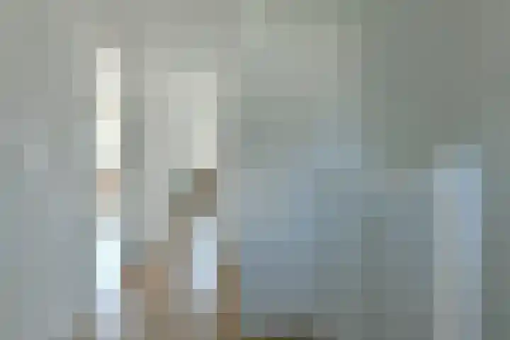 Bonnefantenstraat 21 Amsterdam thumbnail 13