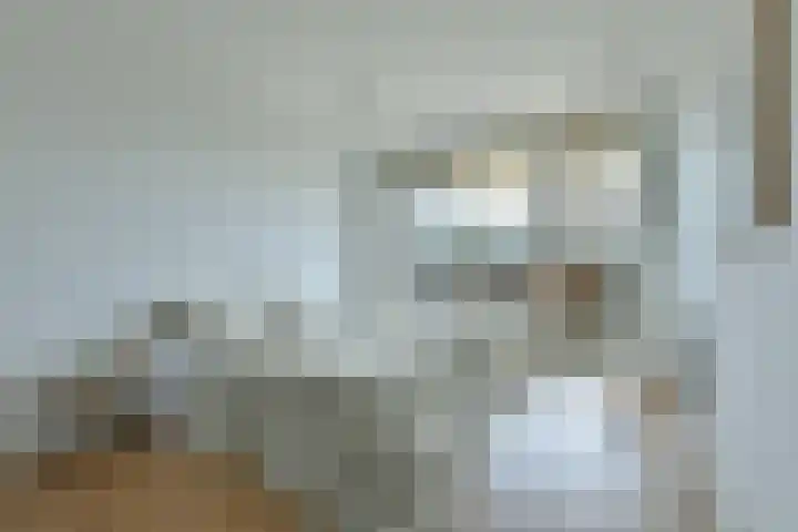 Bonnefantenstraat 21 Amsterdam thumbnail 15