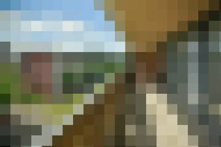 Bonnefantenstraat 21 Amsterdam thumbnail 16