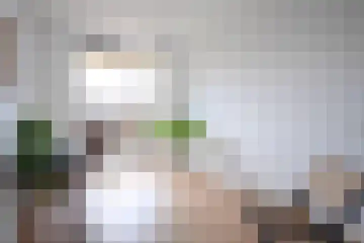 Bonnefantenstraat 21 Amsterdam thumbnail 17