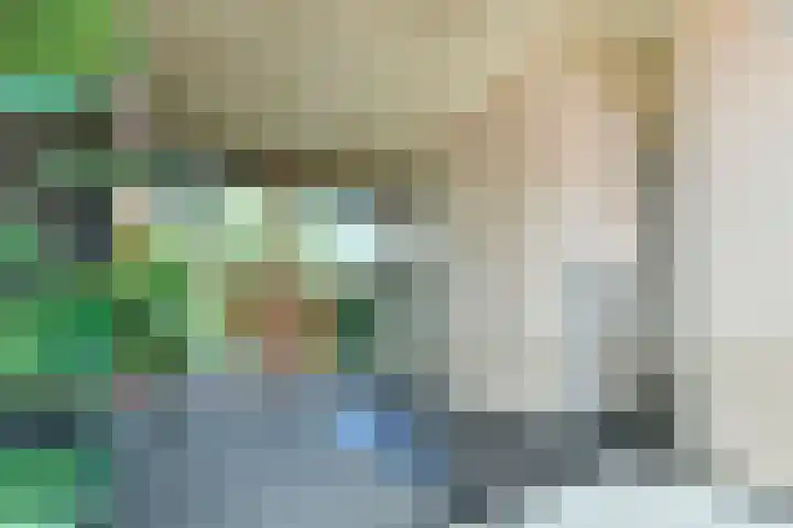 Bonnefantenstraat 21 Amsterdam thumbnail 20