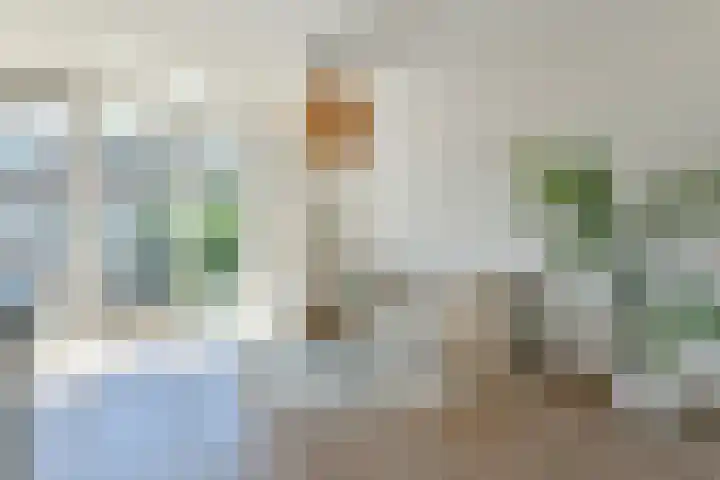 Bonnefantenstraat 21 Amsterdam thumbnail 5