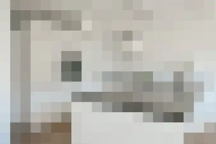 Bonnefantenstraat 21 Amsterdam thumbnail 8