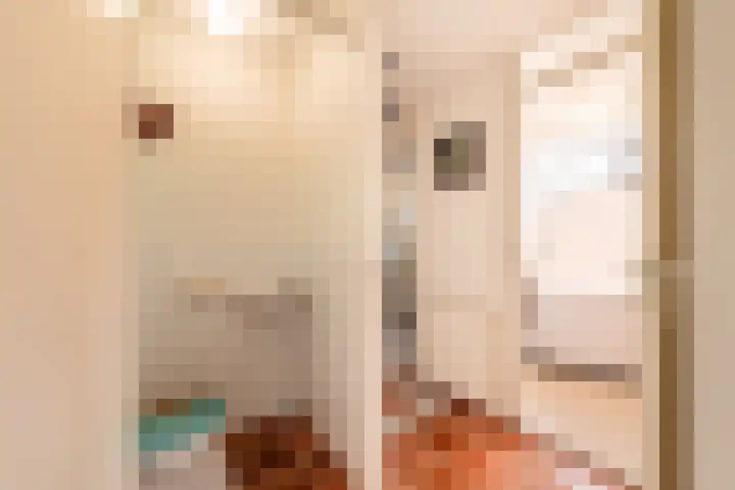 Bonnefantenstraat 30 Amsterdam thumbnail 17