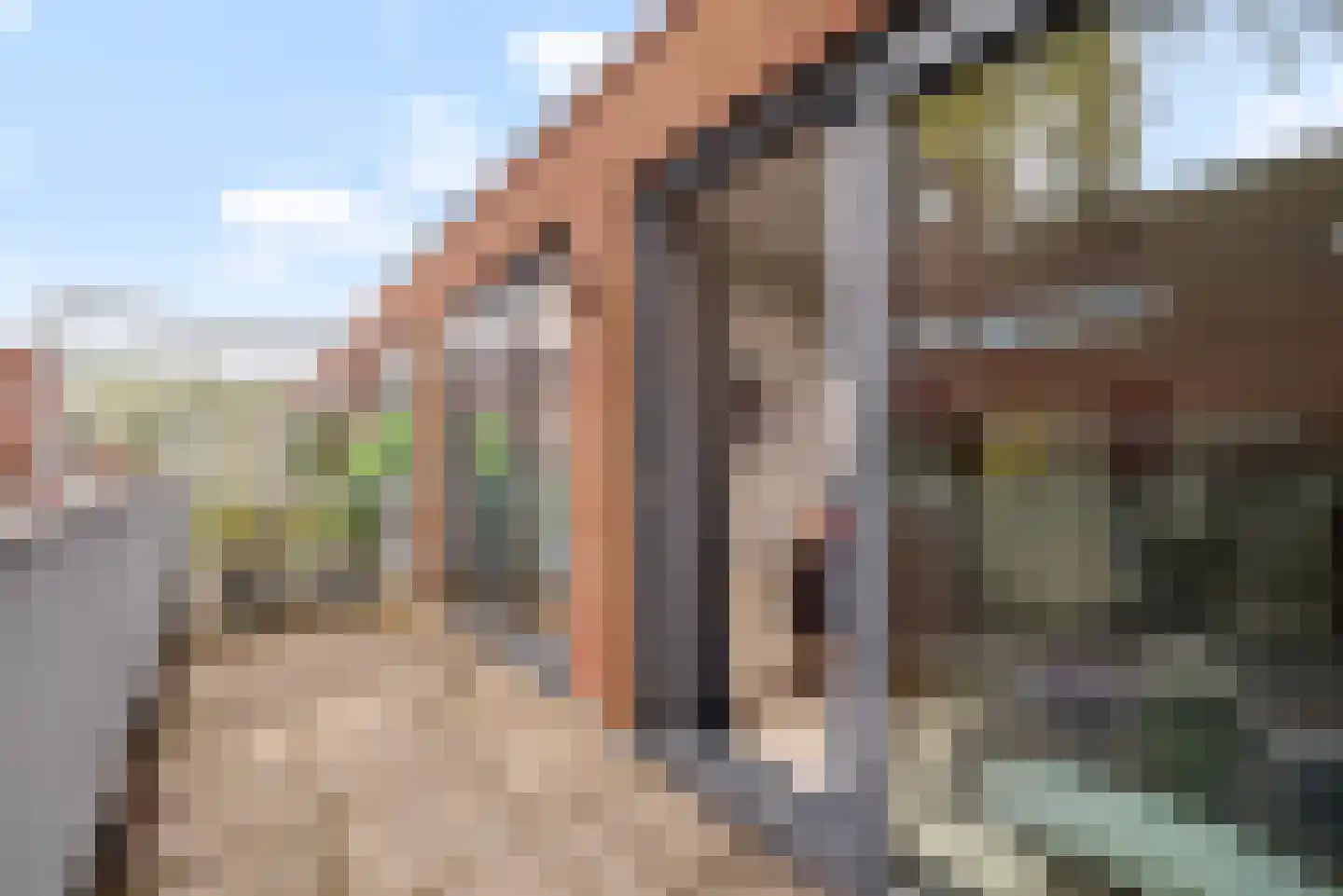 Bonnefantenstraat 30 Amsterdam thumbnail 25