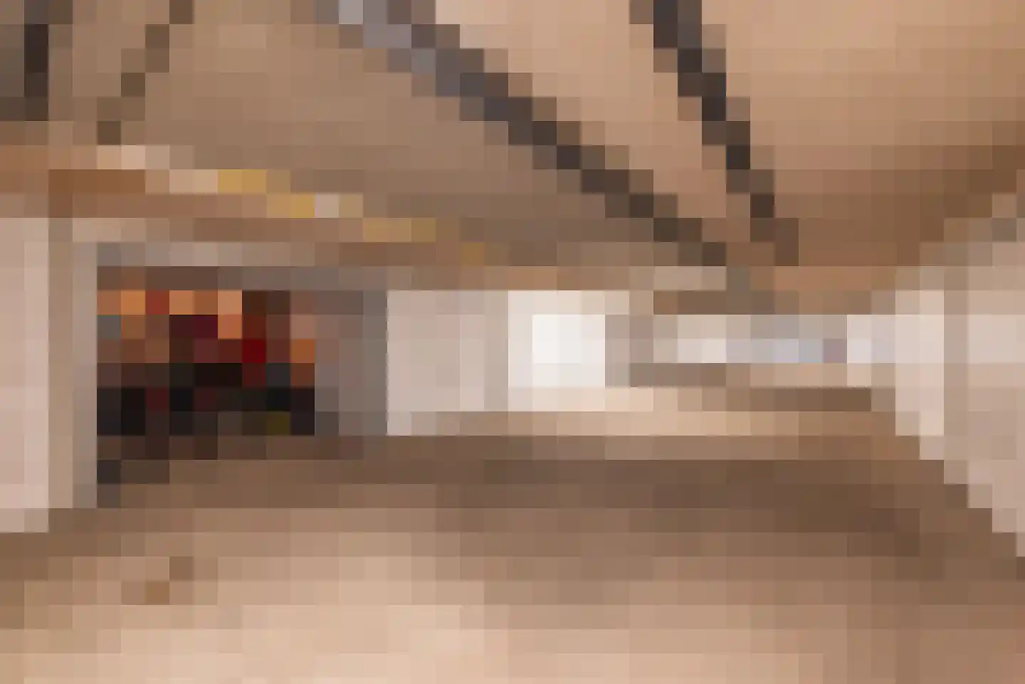 Bonnefantenstraat 30 Amsterdam thumbnail 33
