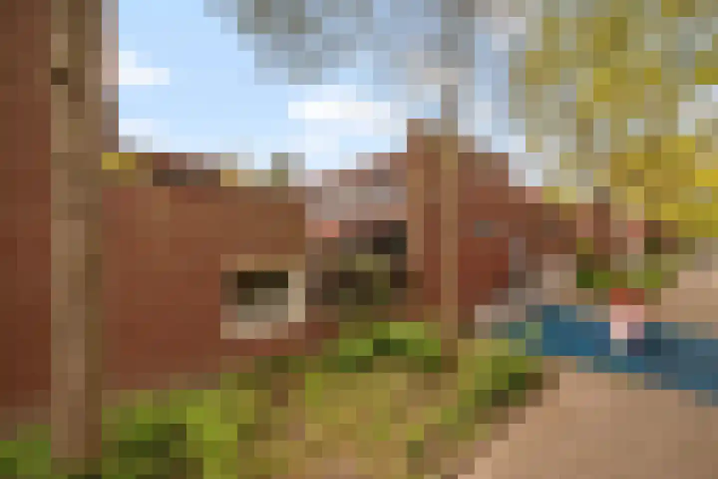 Bonnefantenstraat 30 Amsterdam thumbnail 38