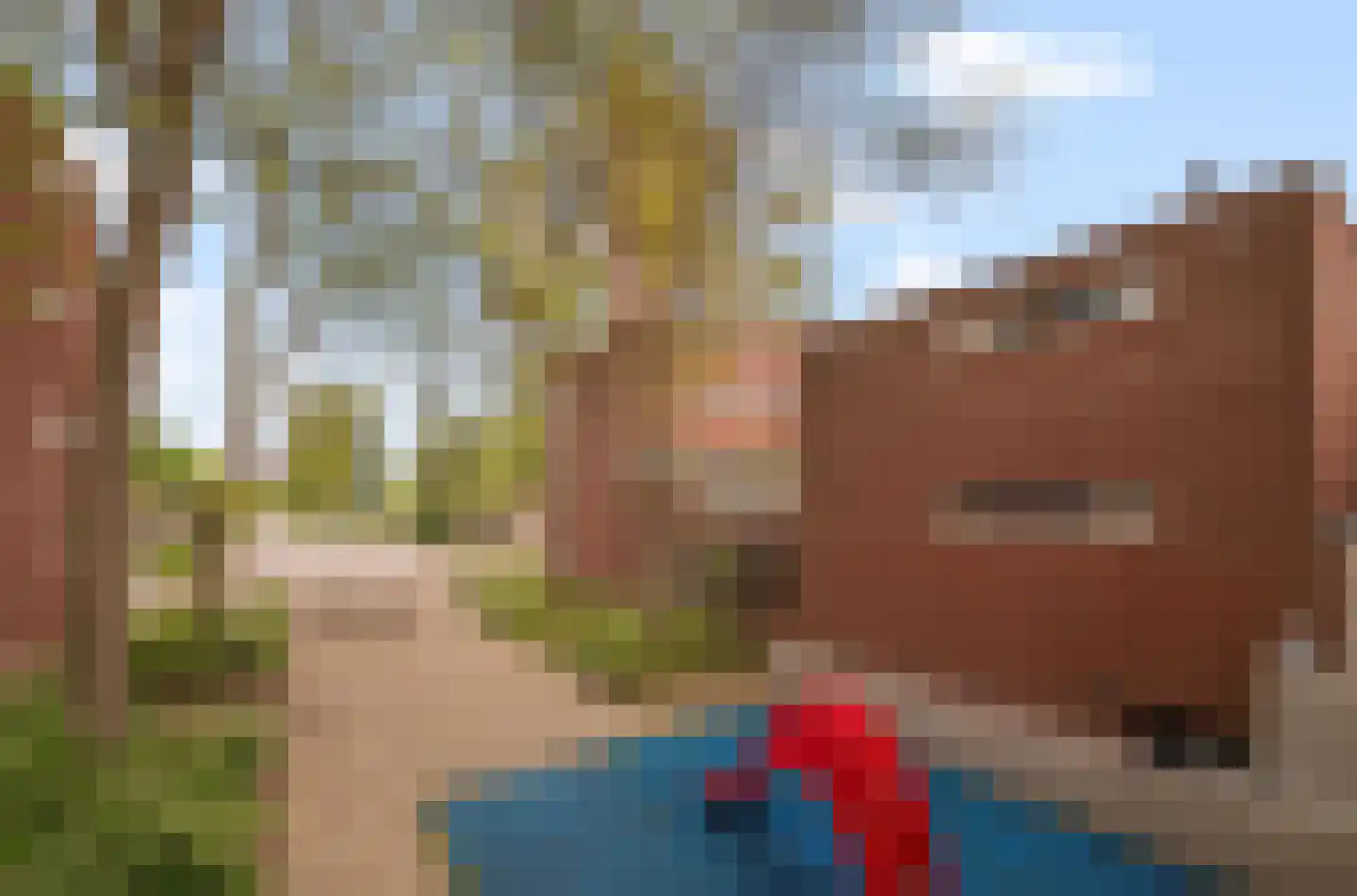 Bonnefantenstraat 30 Amsterdam thumbnail 39