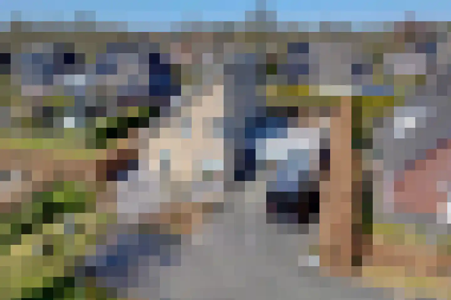Bonnemalaan 9 en Leek
