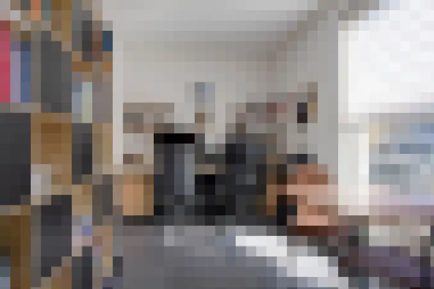 Bonnemalaan 9 Leek thumbnail 17