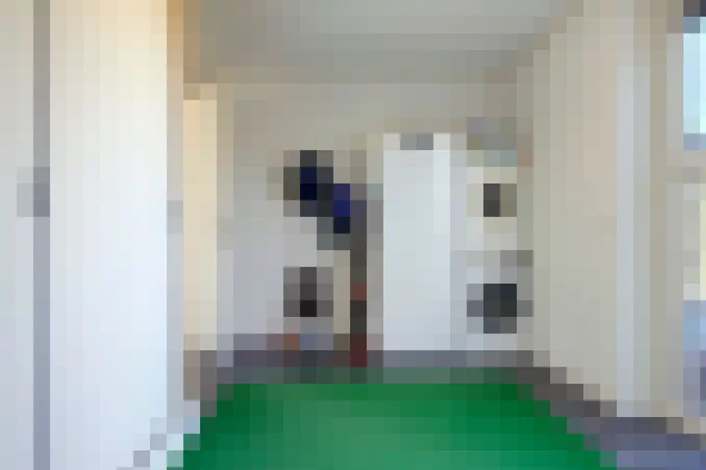 Bonnemalaan 9 Leek thumbnail 18