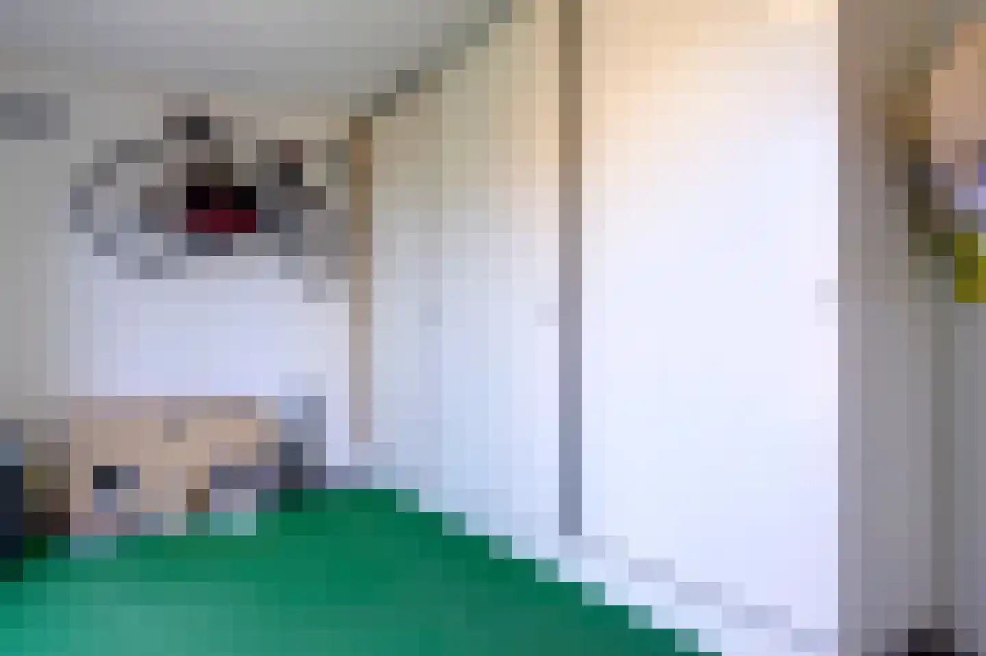 Bonnemalaan 9 Leek thumbnail 19