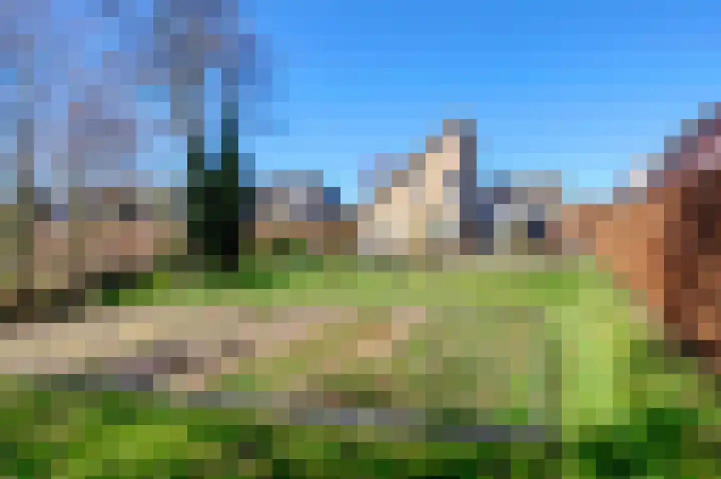 Bonnemalaan 9 Leek foto 2