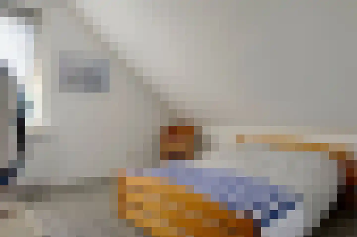 Bonnemalaan 9 Leek thumbnail 23