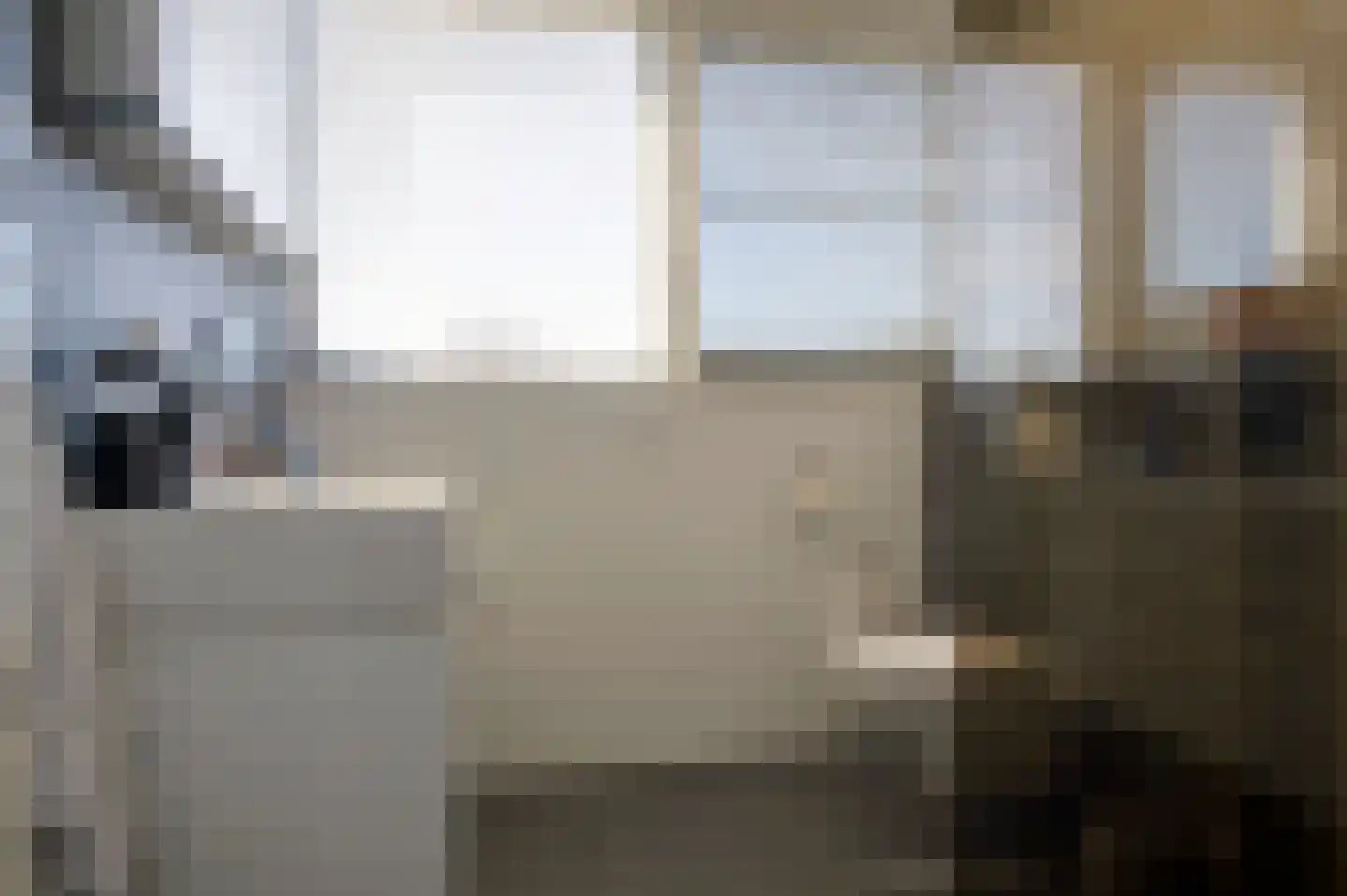 Bonnemalaan 9 Leek thumbnail 25