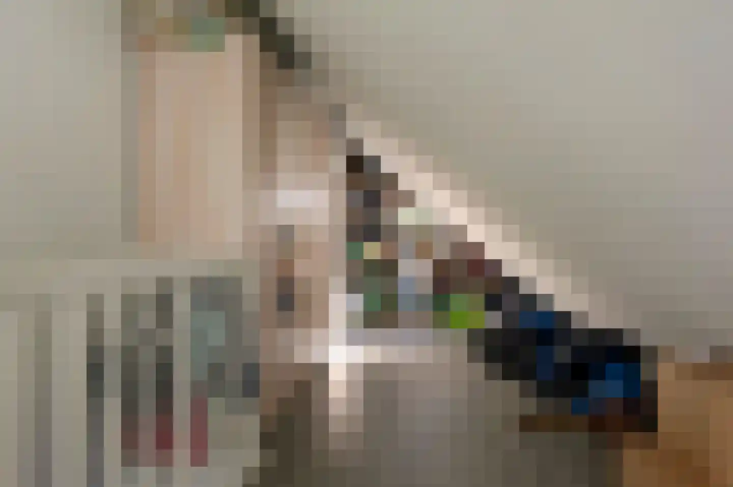 Bonnemalaan 9 Leek thumbnail 28
