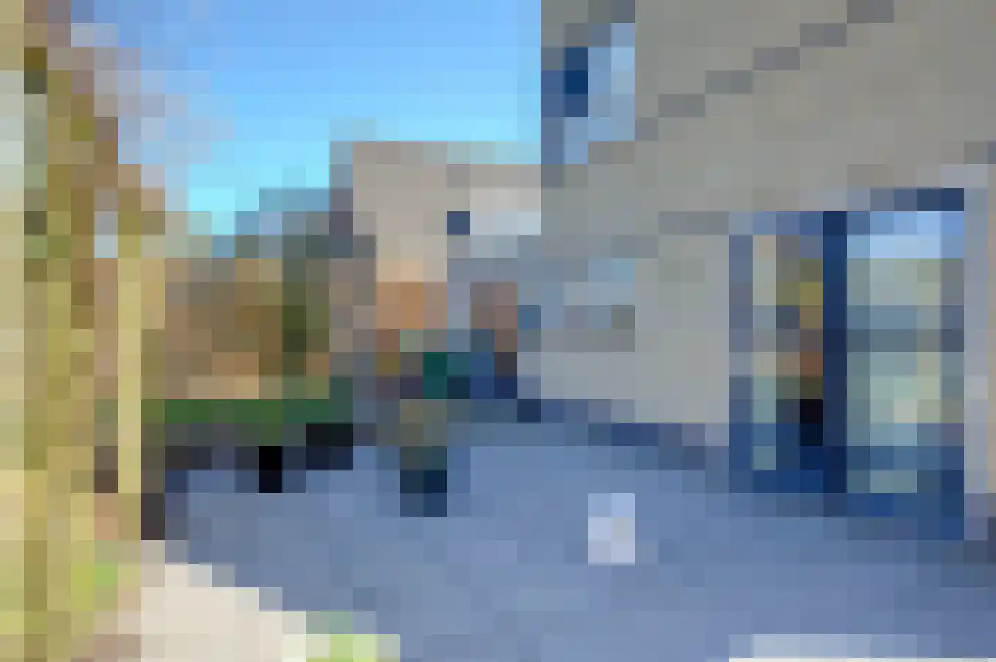 Bonnemalaan 9 Leek thumbnail 30