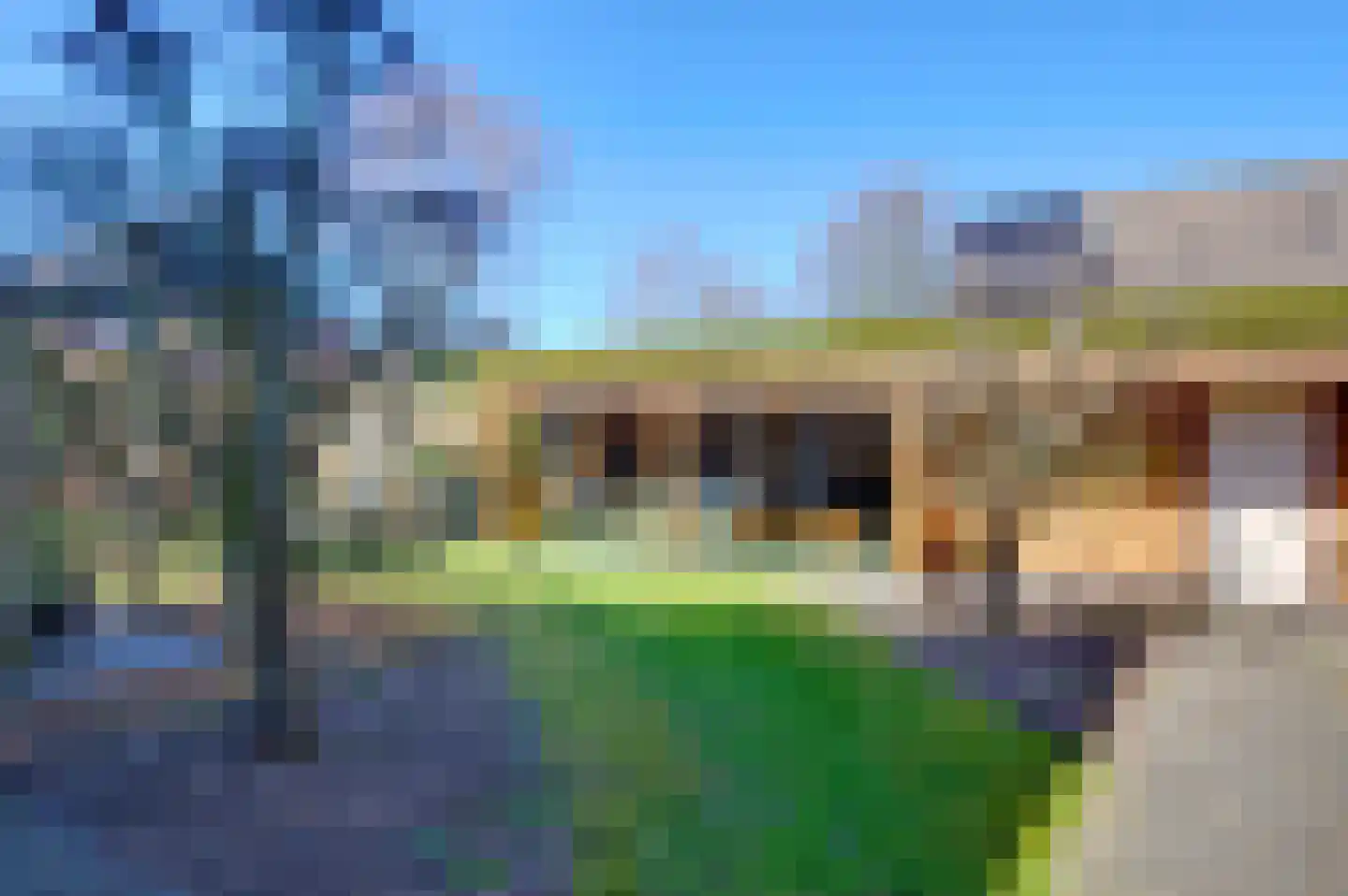 Bonnemalaan 9 Leek thumbnail 31